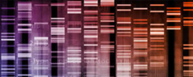 Biologics Development
