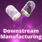 Downstream Manufacturing