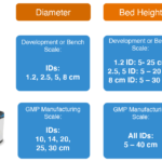 IMPLEMENTING DISPOSABLE CHROMATOGRAPHY