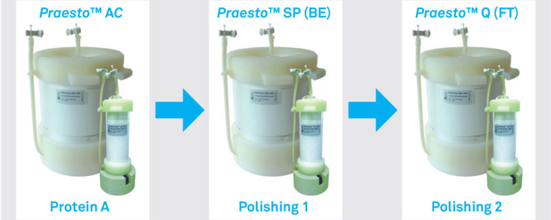 Purpose-designed Protein A resins