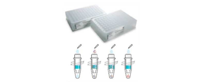 Scout® Reduces Time to Market, Increases Chance of Success For Biopharmaceutical...