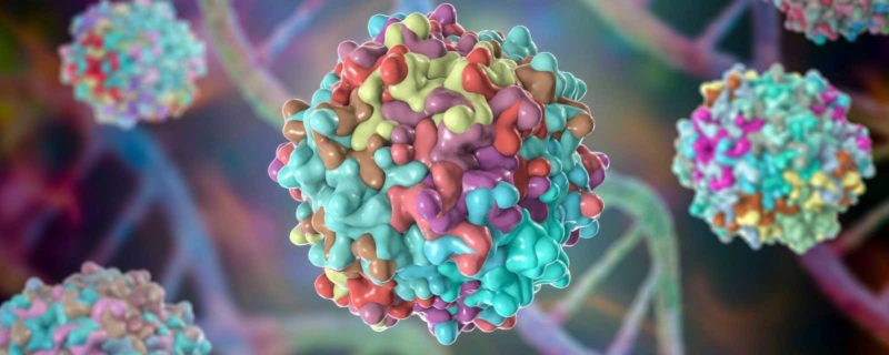 Full Adeno Associated Virus (AAV) Capsid Enrichment Using Mustang® Q Membrane
