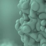 Fit for Purpose AAV Purification